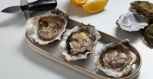 Can abalone peptides inhibit matrix metalloproteinases?